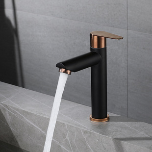 304 Stainless Steel Bathroom Faucet Single Cold Water Hot and Cold Water Basin Above Counter Basin Household Heightening Universal Faucet
