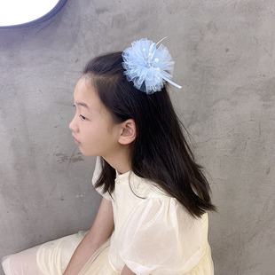 South Korea hair clip wholesale mesh pearl rhinestone crown headdress princess headdress flower top clip summer sweet girl hairpin