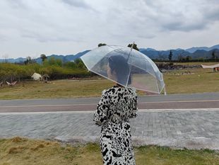 Transparent umbrella large wholesale disposable plastic umbrella automatic long handle transparent umbrella printable LOGO small fresh umbrella