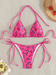 2025 new AliExpress European and American printed neck lace-up sexy bikini swimsuit women's beach hot spring swimsuit