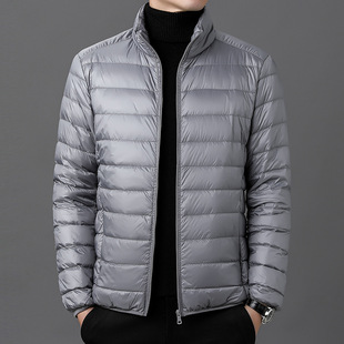 Foreign trade cross-border 2024 light feather Rong cotton-padded jacket jacket men's collar winter young and middle-aged men's casual cotton-padded jacket wholesale