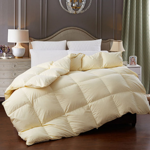 Hilton & Resorts Hotel Down Quilt 95 White Goose Down Quilt Spring Autumn Winter Core Quilt Two in One