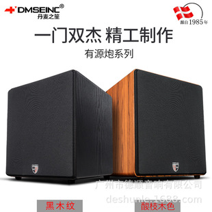 DMSEINC V20 active overweight subwoofer speaker 12 inch high power Home Wooden audio manufacturers wholesale