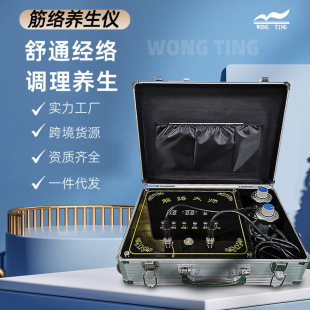Portable tendon meridian health instrument pulse electrotherapy physiotherapy instrument massage whole body dredging three-way master moxibustion guide instrument