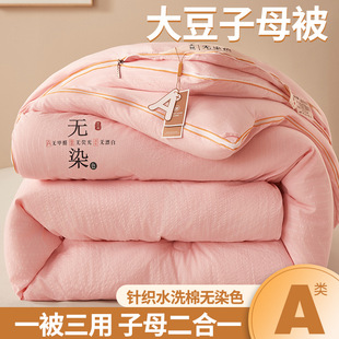 Class A Soybean Fiber Quilt Winter Quilt Core Mother Quilt Thickened Warm Spring and Autumn Quilt Single Double Dormitory Quilt for Four Seasons