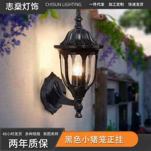 Foreign trade garden lamp corridor corridor creative piggy cage wall lamp led outdoor waterproof plastic lamp outdoor wall lamp