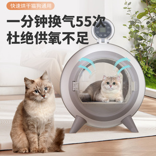 Household Smart Pet Drying Box Cat Bathing and Drying Machine Household Small Size Dogs Hair Dryer Dog Thermostat