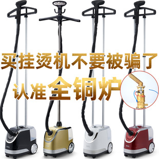 Jieli Hanging Ironing Machine Iron Clothing Store Curtain Special Merchants Double Rod Vertical Steam High Power Furnace Core All Copper