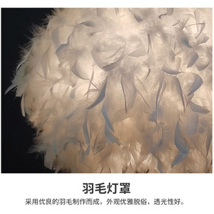 Factory direct supply cross-border Nordic creative bedroom study feather floor lamp hemisphere feather lamp anchor floor lamp