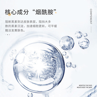 Senna niacinamide Toner 120ml moisturizing and hydrating pore shrinking refreshing lotion factory wholesale