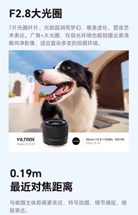 Полнокадровый сверхширокоугольный объектив Vitrox 20 мм F2.8, подходит для беззеркальных камер с портом E/Z и автофокусом.