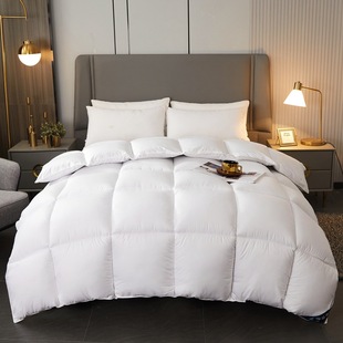 Thickened feather velvet quilt core imitation goose down four seasons quilt single double winter quilt hotel hotel homestay spring and autumn quilt wholesale