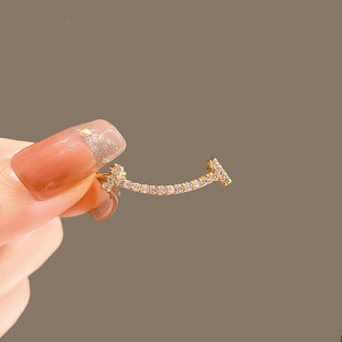 2024 New Style Women's High-End Anti-Light Small Brooch High-End Niche Design Fixed Clothes Pin Cross-Border