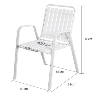 Plastic Dining Chair Home Thickened Adult Backrest Chair Milk Tea Shop Leisure Chair Office Training Cram Class Chair