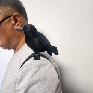 Halloween simulation crow on the shoulder crow with elastic band ball cosplay costume accessories crow props