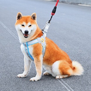 Dog Traction Rope Vest Pet Chest Strap Dog Walking Rope Chai Dog Corgi Teddy Bixiong Small and Medium Dog Chain