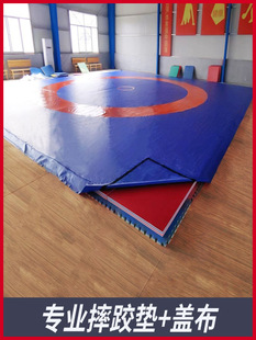 Professional Wrestling Mat Match Training Wrestling Mat XPE Material Freestyle Wrestling Mat Martial Arts Sanda Fighting Mat
