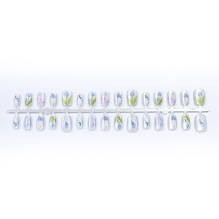 New 10-piece lily cat's eye armor high-grade artificial nail cat's eye manual patch nail nail art