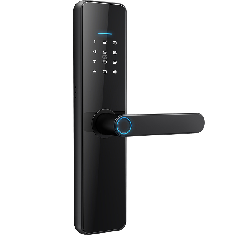 Cross-Border Indoor Door Lock Graffiti Tongtong Lock App One-Grip Fingerprint Password Smart Door Lock 10 Languages