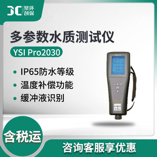 American YSI Pro2030 dissolved oxygen conductivity salinity TDS multi-parameter water quality tester