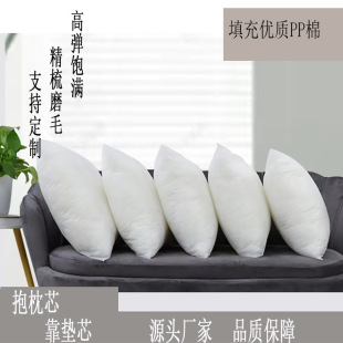 Wholesale PP cotton pillow core 50 square pillow core car pillow core home sofa cushion core pillow core