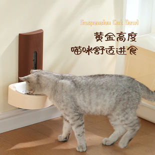 Wall-hung pet double bowl stainless steel anti-knock cat bowl dog bowl water food integrated adjustable high ceramic feeding bowl