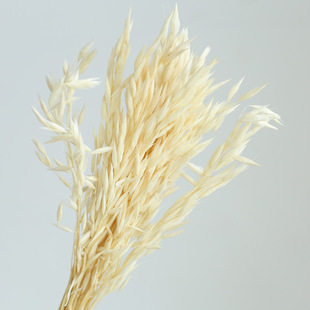 Yunnan Dried Flowers, Eternal Flowers, Real Flowers, Bouquet of Stars, Rose, Forget-Me Not, Home Decoration, Homestay Decoration