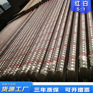 Processing and Customizing Plant Growth Lamp Led High-Power Multi-Row Lamp Beads Strawberry Leaf Vegetable Fill Light