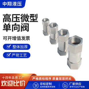 Internal thread check valve H13X-160P internal wire split high pressure check valve hexagonal high temperature filter check valve