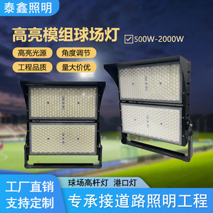 Factory basketball court light stadium led outdoor professional stadium light waterproof super bright lighting module flood light
