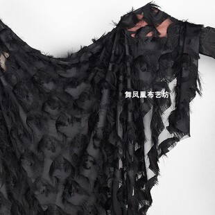 Black Big Eyes Jacquard Cut Flower Tassel Three-dimensional Perspective Mesh Garment Fabric Peacock Feather Cut Design Fabric
