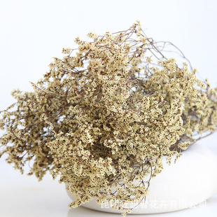 Fantastic Natural Wind Immortal Crystal Grass Flower Bundle Home Decoration Flower Insert Flower Scented Candle Flower Material