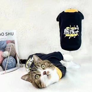 Красивый кошачий костюм осенний и зимний