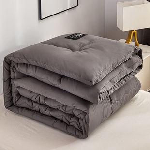 Winter Quilt Thickeneded Washed Cotton Quilt Core Stereo Warm Winter Quilt Quilt Student Dormitory Single Double Spring & Fall Weiyan