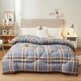 Factory direct sanding thickening warm winter is skin-friendly printing Spring and Autumn quilt core dormitory quilt gift wholesale