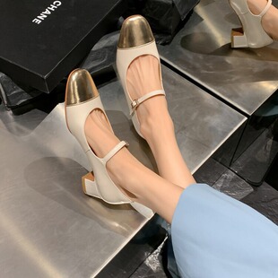 Genuine Leather Elegant French Evening Style Chanel Style Silver Single-layer Shoes Women's 2024 Spring and Autumn New Chunky Heel High Heel Mary Jane Shoes