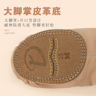 Ballet Dance Shoes Stretch Cloth Practice Adult Soft-soled Cat Claw Shoes Lace-free Body Dance Shoes Children's Dance Shoes