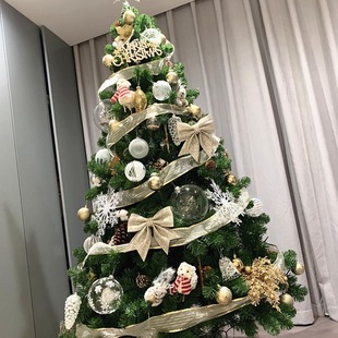 6.3cm White Christmas Belt Plain Snow Yarn Transparent Wire Edge Ribbon Packaging Ribbon Ribbon Ribbon 22 m