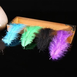 Net red pointed tail feather turkey feather DIY earrings necklace accessories small feather manufacturers wholesale