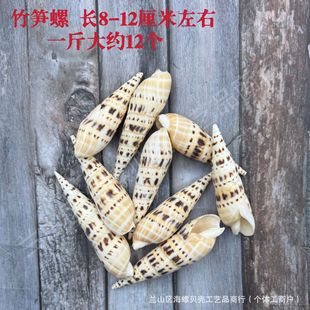 Натуральные ракушки, раковины, морские звезды, бутылки для плавучести, материалы для поделок из ракушек, DIY, ручная работа