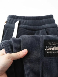 Men's fleece-lined plus size casual pants spring autumn and winter new long pants thick warm European cotton wool sports pants lamp