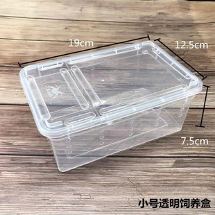 Hermit Crab Feeding Climbing Pet Feeding Box Insect Observation Box Novice suit Feeding Tank Hermit Crab Package