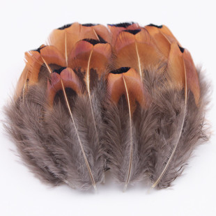Parrot feather point emerald feather small 50 diy handmade jewelry accessories pheasant feather duck feather cat material shop dream net 1
