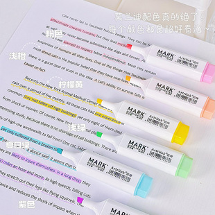 Morandi Color Thick Head Highlighter suit Large Capacity Oblique Head Special Hand Account Marking Pen for Students