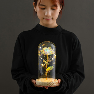 Gold foil flower glass cover Rose glass cover luminous led Valentine's Day gift Christmas gift cross-border supply