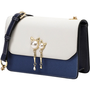 Viney Autumn and Winter Small Bag Women's Bag 2024 Trendy Niche All-match Crossbody Bag Internet Popular Fashionable Shoulder Chain Bag