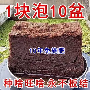 Кокосовый кирпич с высоким содержанием пены питательная почва для выращивания цветов