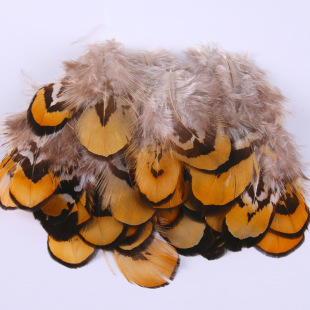 Factory direct yellow feather chicken feather diy handmade jewelry crafts clothing decorative feather wholesale
