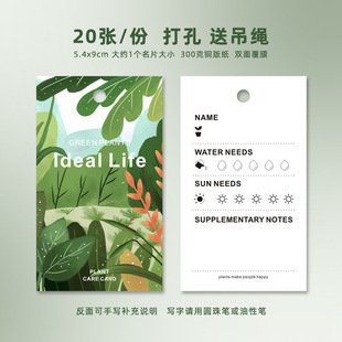 Fortune Tree Lucky Fortune Transport Tag Card Lucky Treasure Green Plant Potted Plant Good Luck Card Move to Open Business Send Potted Plant Listing