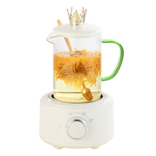 Mini health cup glass constant temperature electric stew electric boiling tea cup household hot milk water Cup portable office heating
